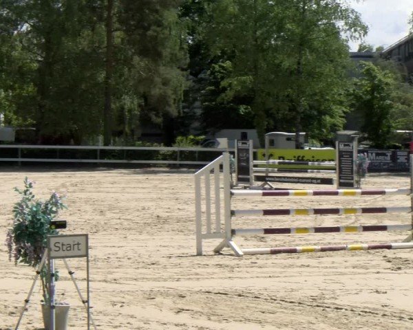 Reitturnier Stadt Bregenz 2024