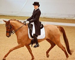 dressage horse Lilly Rose Jdh (Oldenburg, 2016)