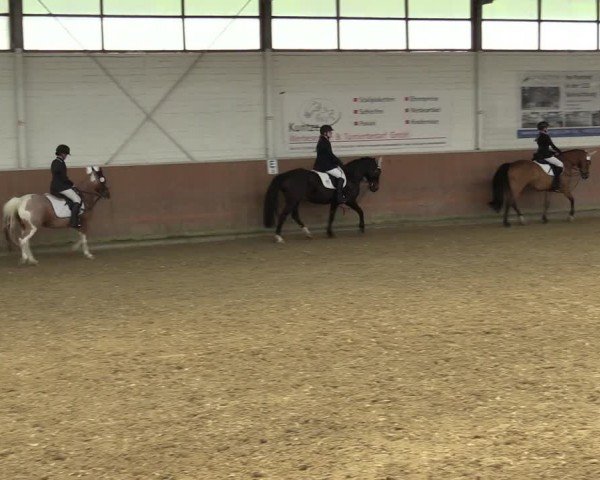 Reitturnier Leichlingen 2024