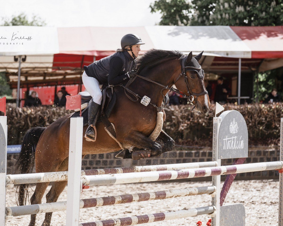 jumper Chiquitita 20 (Holsteiner, 2016, from Casiro I)