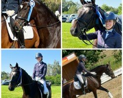 dressage horse Sayala (Hanoverian, 2019, from Secret)