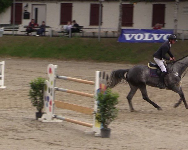 Reitturnier Lgl.-Oberhain, B95 2024