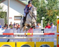 jumper Herkules (Trakehner, 2008, from Fabulous Dooley)