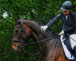 dressage horse De Wina 4 (Hanoverian, 2019, from DSP de Sandro)