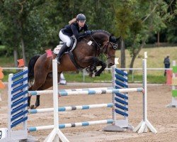 jumper Baroness 376 (Oldenburger Springpferd, 2011, from Balou du Rouet)