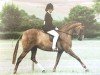 broodmare Chirk Catspaw (British Riding Pony, 1975, from Bwlch Zephyr)