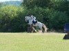 jumper Cheeky Mike (Connemara Pony, 2015, from Melody's Boy)