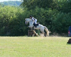 Springpferd Cheeky Mike (Connemara-Pony, 2015, von Melody's Boy)