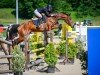 jumper Komtessa Vom Eigen CH (Swiss Warmblood, 2015, from Christdorn)