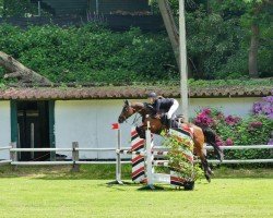 jumper Cascali (Holsteiner, 2014, from Cascadello II)