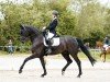 dressage horse It's Ferrari (Hanoverian, 2015, from Finest)