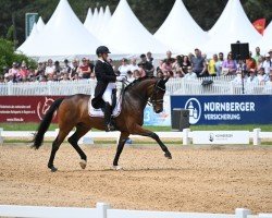 dressage horse Freaky Friday 11 (Oldenburg, 2015, from Fürsten-Look)