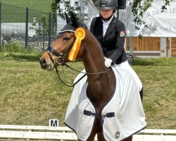 dressage horse Fraise Fizz (Hanoverian, 2015, from Fürstenball)