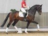 dressage horse Joop 27 (Westphalian, 2020, from Jovian)