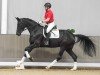 dressage horse Debbi (Westphalian, 2020, from Desperados FRH)