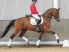 broodmare Feuer frei 3 (Hanoverian, 2017, from For Romance II)