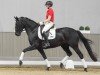 dressage horse Guano Apes (Westphalian, 2020, from Kastel's Grand Galaxy Win)