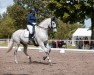 dressage horse Barrymore R (Oldenburg, 2014, from Best Before Midnight)