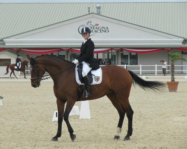 dressage horse Arabesca B (Austrian Warmblood, 2005, from Dr Doolittle 45)