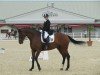 dressage horse Arabesca B (Austrian Warmblood, 2005, from Dr Doolittle 45)