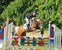 dressage horse Fiona 526 (Pony without race description, 2010)