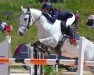 jumper Roudoudou D'Hurl'vent (French Pony, 2005, from Leadership xx)