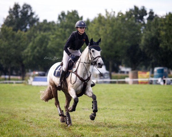 jumper Coreen Charlotte (Connemara Pony, 2015, from Clonberne Rebel)