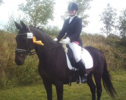 dressage horse Valentina AA 42 (Anglo-Araber, 1992, from Gamiro)