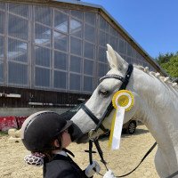 jumper Grisu 412 (Hesselteichs Götterfunke) (German Riding Pony, 2007, from Gandalf)