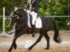 dressage horse Misko XVII - Rajko (Bosniak, 2014, from Ramiro)