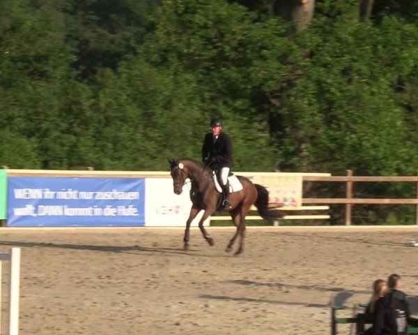 Reitturnier Alvern 2024