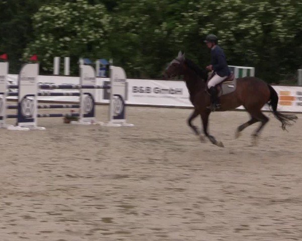 Reitturnier Everswinkel 2024