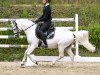 dressage horse Malibu 139 (Pony without race description, 2000, from Unbekannt)