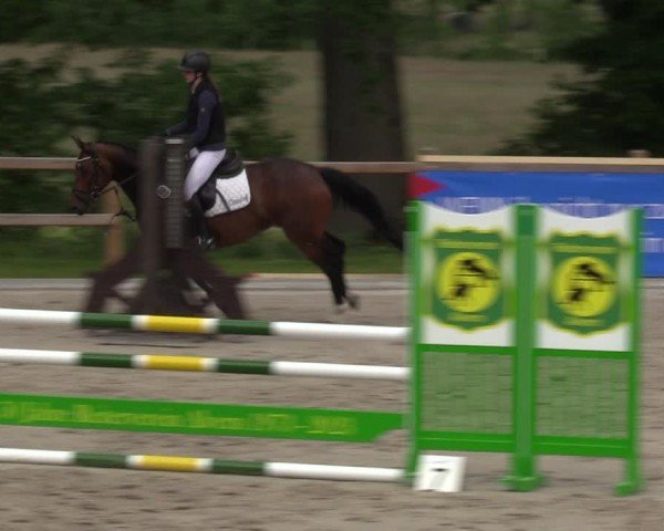 Reitturnier Alvern 2024