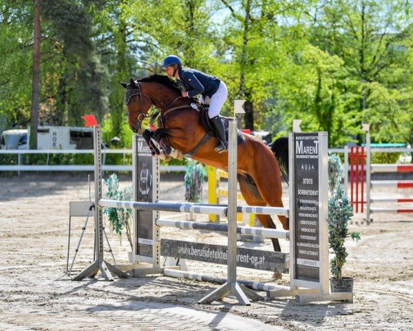 jumper Esperia Gb (Hanoverian, 2018, from Emerald van 't Ruytershof)