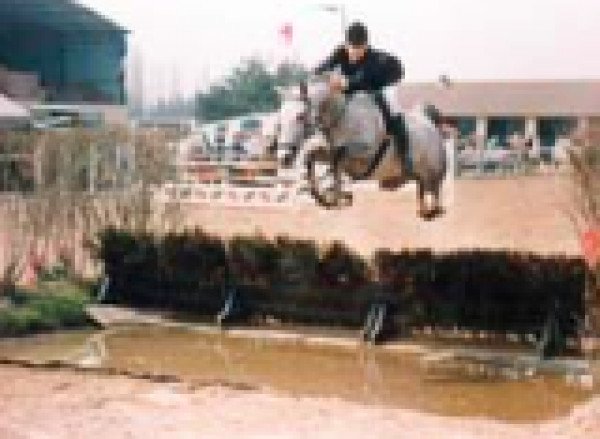 broodmare Nadiacha (French Pony, 1979, from Dancing Duke ox)