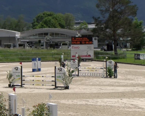 Reitturnier Werdenberg 2024