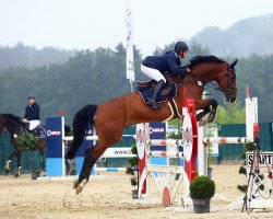 jumper Joli (KWPN (Royal Dutch Sporthorse), 2014, from Freeman 68)