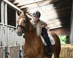 dressage horse Floris Rouge F (Hanoverian, 2021, from Falihandro)