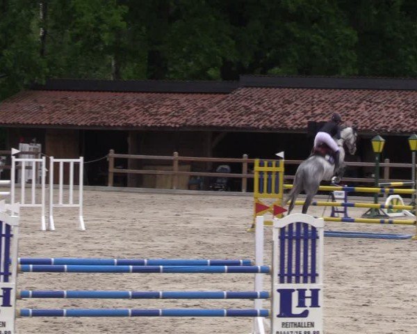 Reitturnier Alvern 2024