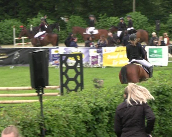 Reitturnier Jülich 2024