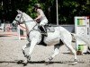 jumper Carlo (German Sport Horse, 2009, from Carpalo)