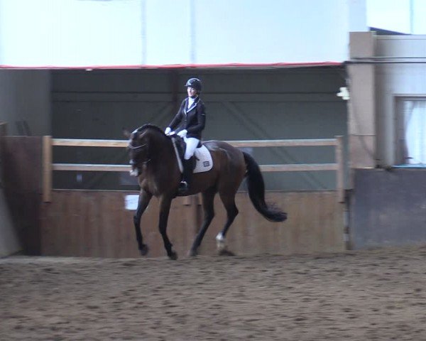 Reitturnier Kakerbeck 2024
