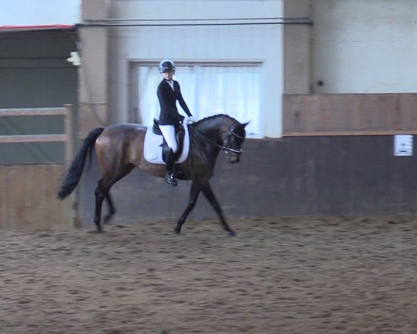 Reitturnier Kakerbeck 2024