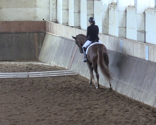 Reitturnier Kakerbeck 2024