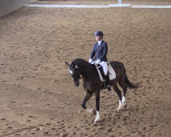 Reitturnier Kakerbeck 2024