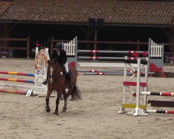 Reitturnier Alvern 2024