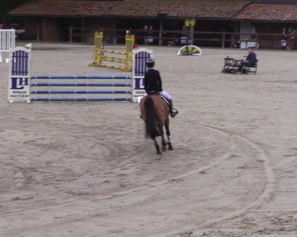 Reitturnier Alvern 2024