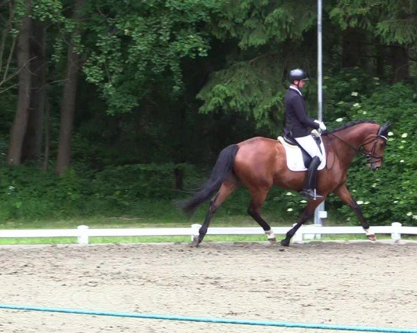 Reitturnier Kellinghusen  2024