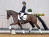 dressage horse Francesca (Hanoverian, 2017, from Finest)